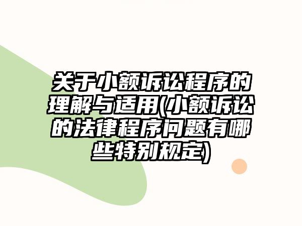 關(guān)于小額訴訟程序的理解與適用(小額訴訟的法律程序問題有哪些特別規(guī)定)