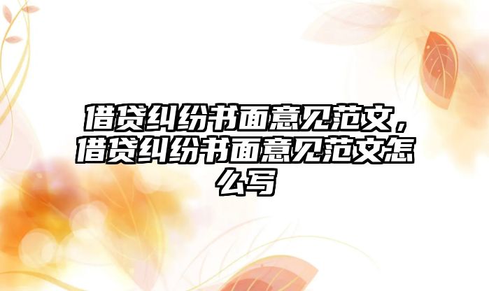 借貸糾紛書面意見范文，借貸糾紛書面意見范文怎么寫