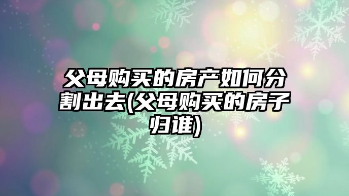 父母購買的房產(chǎn)如何分割出去(父母購買的房子歸誰)