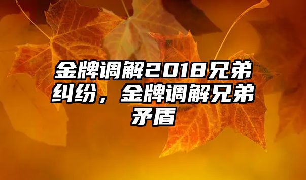 金牌調解2018兄弟糾紛，金牌調解兄弟矛盾