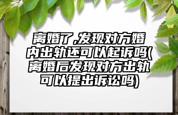 離婚了,發(fā)現(xiàn)對(duì)方婚內(nèi)出軌還可以起訴嗎(離婚后發(fā)現(xiàn)對(duì)方出軌可以提出訴訟嗎)