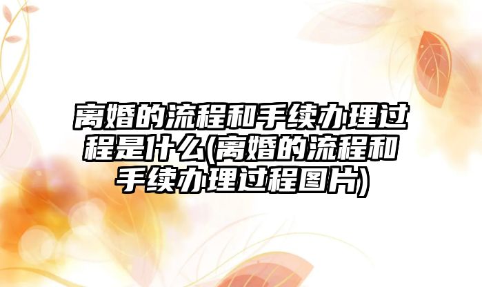 離婚的流程和手續辦理過程是什么(離婚的流程和手續辦理過程圖片)