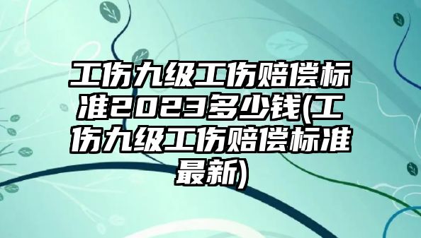 工傷九級工傷賠償標準2023多少錢(工傷九級工傷賠償標準最新)