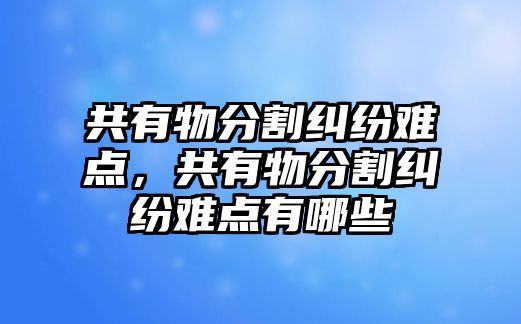 共有物分割糾紛難點，共有物分割糾紛難點有哪些