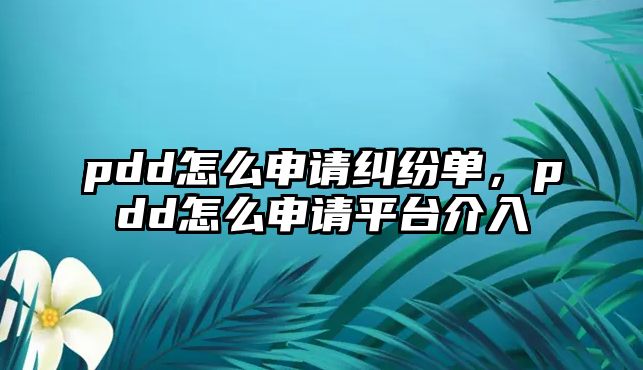 pdd怎么申請糾紛單，pdd怎么申請平臺介入