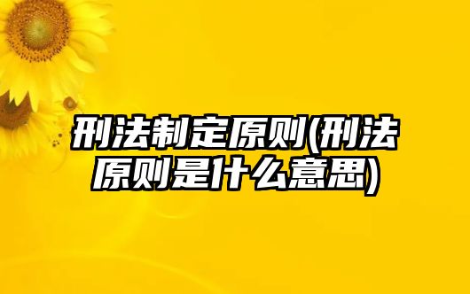 刑法制定原則(刑法原則是什么意思)