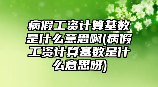 病假工資計(jì)算基數(shù)是什么意思啊(病假工資計(jì)算基數(shù)是什么意思呀)