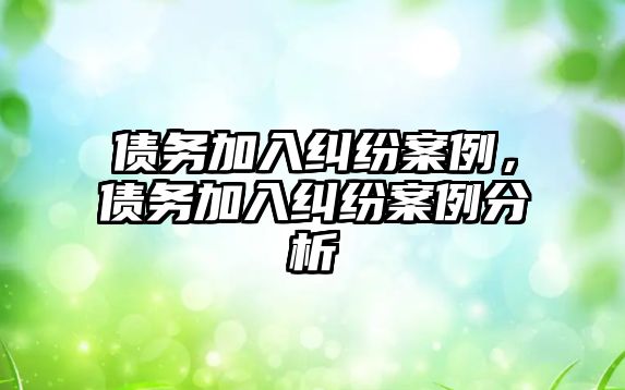 債務(wù)加入糾紛案例，債務(wù)加入糾紛案例分析