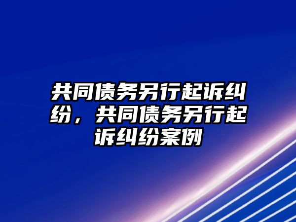 共同債務另行起訴糾紛，共同債務另行起訴糾紛案例