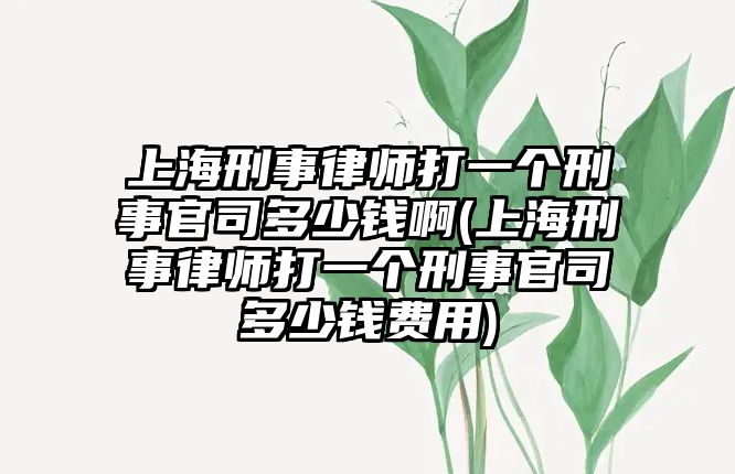 上海刑事律師打一個刑事官司多少錢啊(上海刑事律師打一個刑事官司多少錢費用)