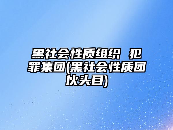 黑社會(huì)性質(zhì)組織 犯罪集團(tuán)(黑社會(huì)性質(zhì)團(tuán)伙頭目)