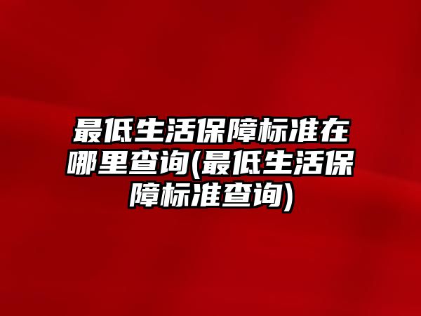 最低生活保障標準在哪里查詢(最低生活保障標準查詢)