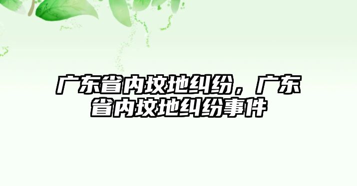 廣東省內墳地糾紛，廣東省內墳地糾紛事件