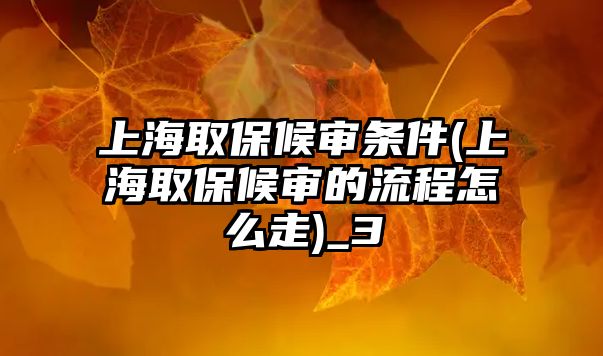 上海取保候審條件(上海取保候審的流程怎么走)_3