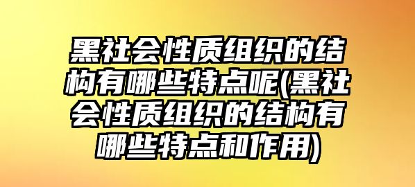 黑社會(huì)性質(zhì)組織的結(jié)構(gòu)有哪些特點(diǎn)呢(黑社會(huì)性質(zhì)組織的結(jié)構(gòu)有哪些特點(diǎn)和作用)