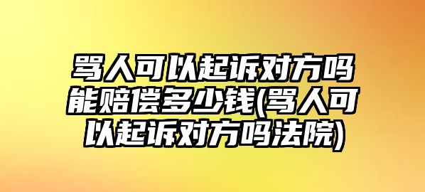 罵人可以起訴對方嗎能賠償多少錢(罵人可以起訴對方嗎法院)