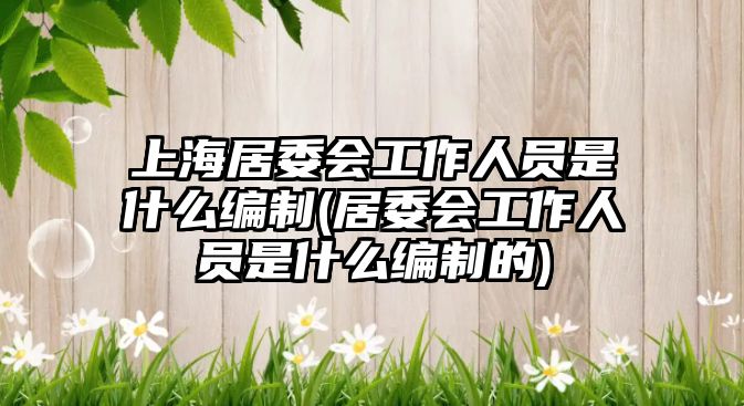 上海居委會工作人員是什么編制(居委會工作人員是什么編制的)