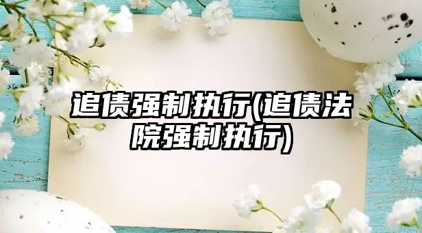 追債強制執行(追債法院強制執行)