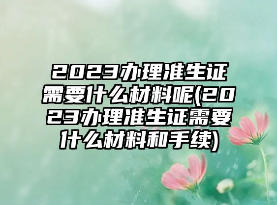 2023辦理準生證需要什么材料呢(2023辦理準生證需要什么材料和手續)