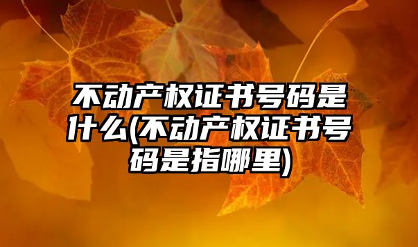 不動產權證書號碼是什么(不動產權證書號碼是指哪里)