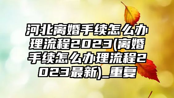 河北離婚手續怎么辦理流程2023(離婚手續怎么辦理流程2023最新)_重復