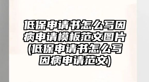 低保申請書怎么寫因病申請模板范文圖片(低保申請書怎么寫因病申請范文)