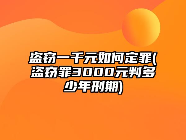 盜竊一千元如何定罪(盜竊罪3000元判多少年刑期)