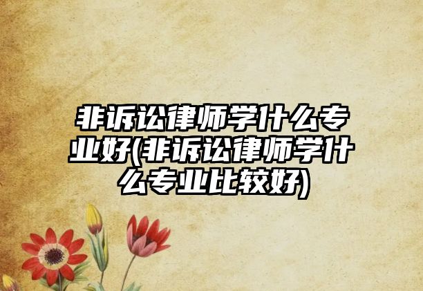 非訴訟律師學(xué)什么專業(yè)好(非訴訟律師學(xué)什么專業(yè)比較好)