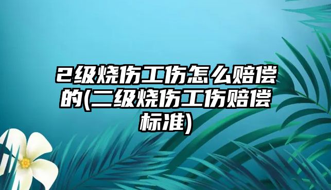 2級燒傷工傷怎么賠償的(二級燒傷工傷賠償標準)