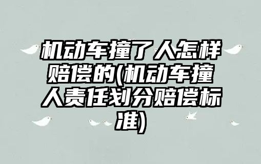 機動車撞了人怎樣賠償的(機動車撞人責任劃分賠償標準)