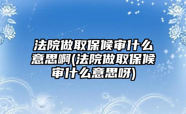 法院做取保候審什么意思啊(法院做取保候審什么意思呀)