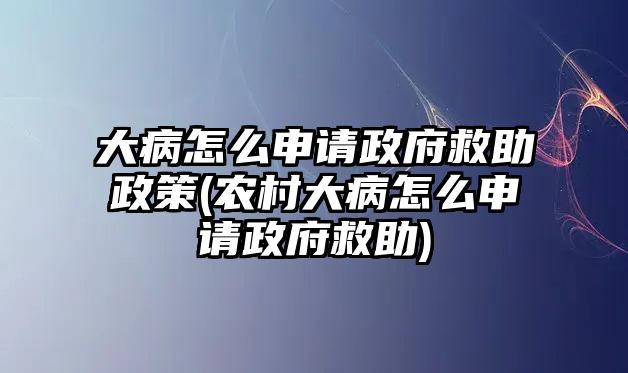 大病怎么申請政府救助政策(農村大病怎么申請政府救助)