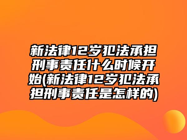 新法律12歲犯法承擔刑事責任什么時候開始(新法律12歲犯法承擔刑事責任是怎樣的)