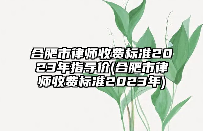 合肥市律師收費標準2023年指導價(合肥市律師收費標準2023年)