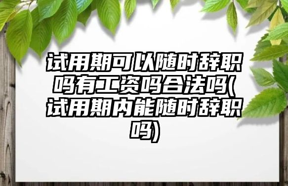 試用期可以隨時辭職嗎有工資嗎合法嗎(試用期內能隨時辭職嗎)