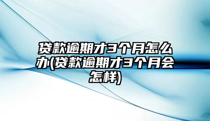 貸款逾期才3個月怎么辦(貸款逾期才3個月會怎樣)