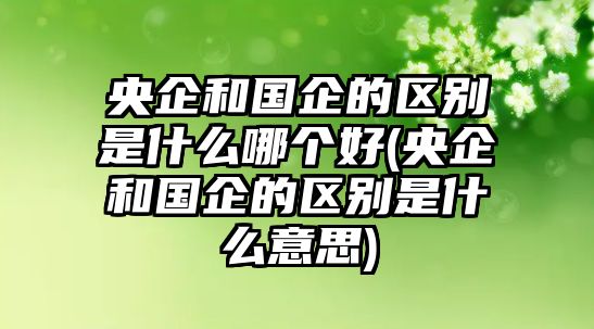 央企和國企的區別是什么哪個好(央企和國企的區別是什么意思)