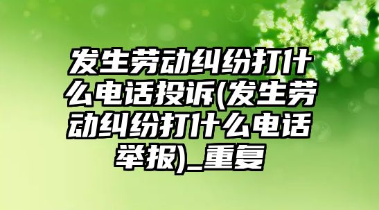 發生勞動糾紛打什么電話投訴(發生勞動糾紛打什么電話舉報)_重復