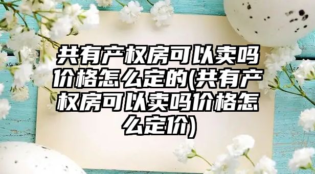 共有產權房可以賣嗎價格怎么定的(共有產權房可以賣嗎價格怎么定價)