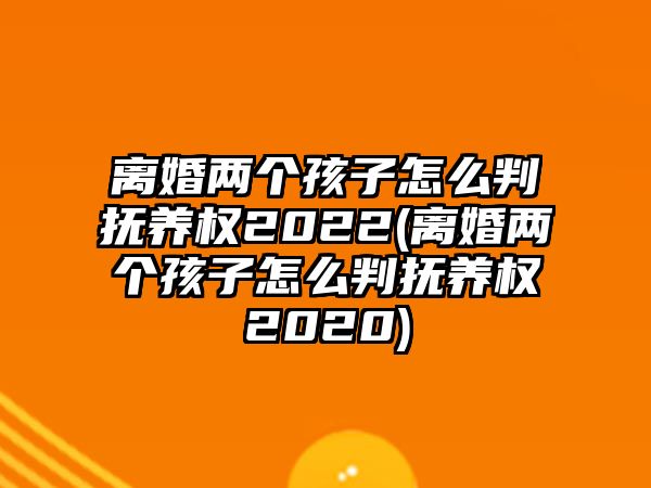 離婚兩個孩子怎么判撫養權2022(離婚兩個孩子怎么判撫養權2020)