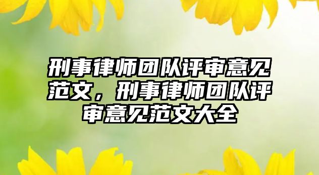 刑事律師團隊評審意見范文，刑事律師團隊評審意見范文大全