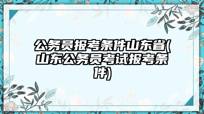 公務員報考條件山東省(山東公務員考試報考條件)