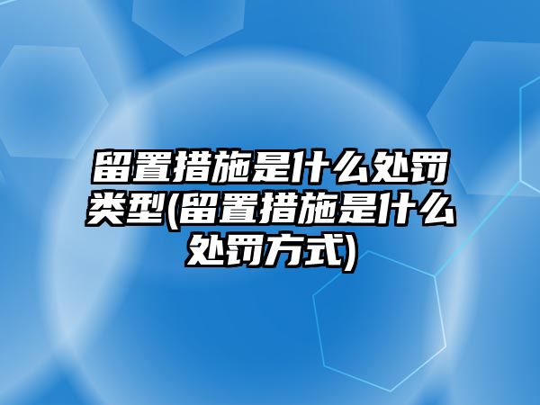 留置措施是什么處罰類型(留置措施是什么處罰方式)