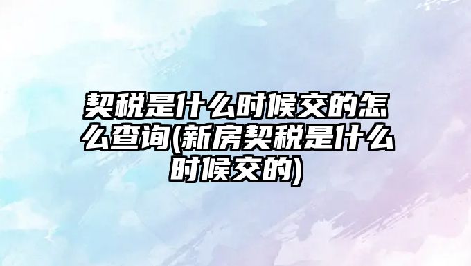 契稅是什么時候交的怎么查詢(新房契稅是什么時候交的)