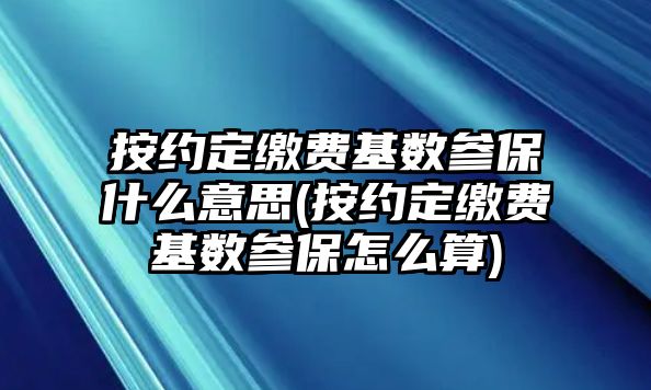 按約定繳費(fèi)基數(shù)參保什么意思(按約定繳費(fèi)基數(shù)參保怎么算)