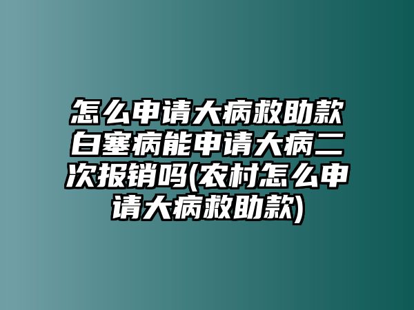 怎么申請大病救助款白塞病能申請大病二次報銷嗎(農(nóng)村怎么申請大病救助款)