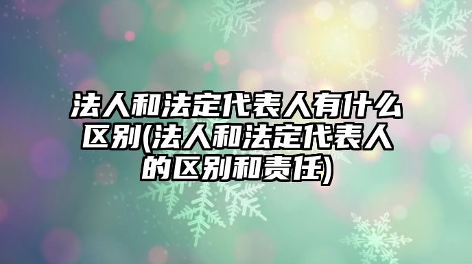 法人和法定代表人有什么區別(法人和法定代表人的區別和責任)