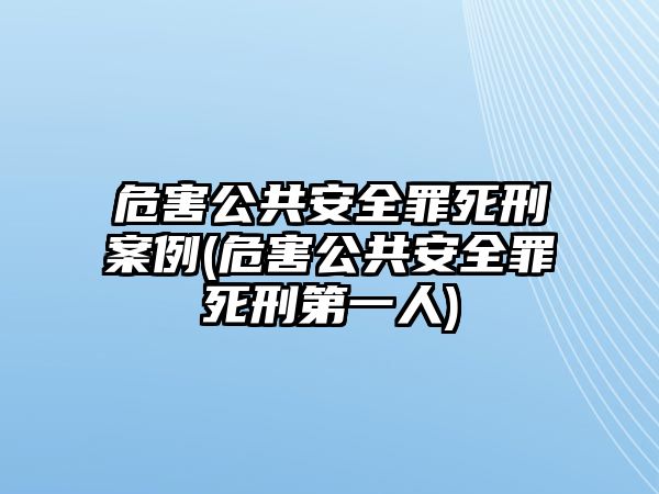 危害公共安全罪死刑案例(危害公共安全罪死刑第一人)