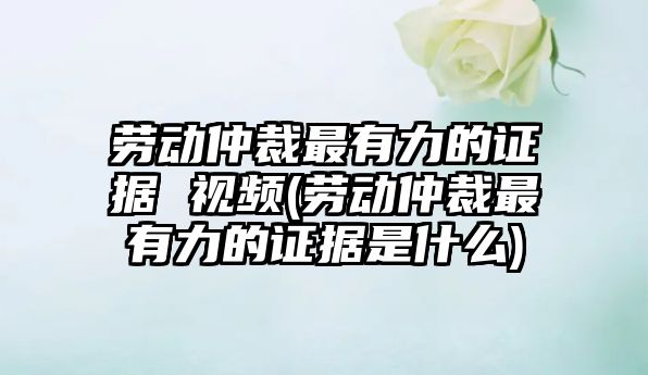 勞動仲裁最有力的證據 視頻(勞動仲裁最有力的證據是什么)