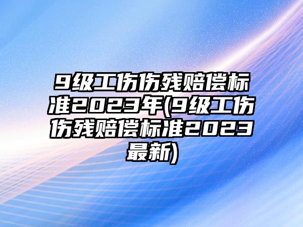 9級工傷傷殘賠償標準2023年(9級工傷傷殘賠償標準2023最新)